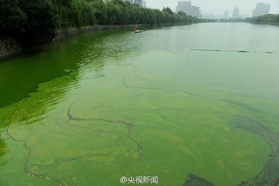 珍愛生命之水 聚焦水污染與治理，守護藍色家園