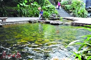 2017年廣州市兩會 水務局預算劍指水污染治理，高效著力環保技術開發服務